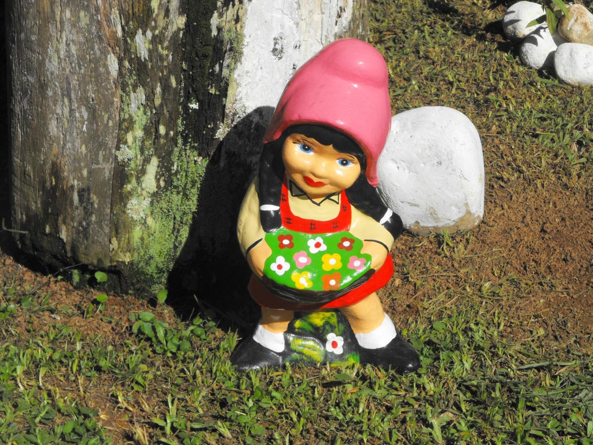 Pousada Cascata Dos Amores Teresópolis Buitenkant foto