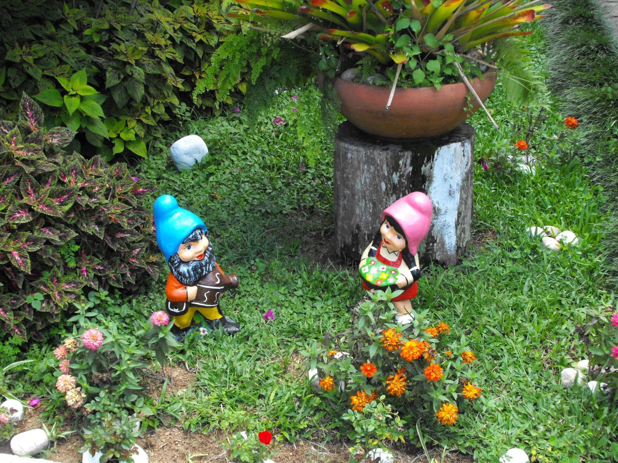 Pousada Cascata Dos Amores Teresópolis Buitenkant foto